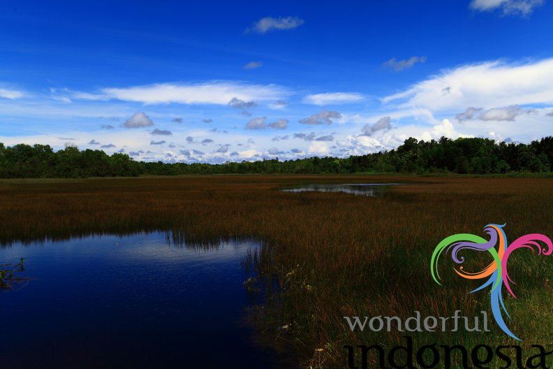 liat-kurau-river-bangka-belitung-4.jpg liat-kurau-river-bangka-belitung-4.jpg